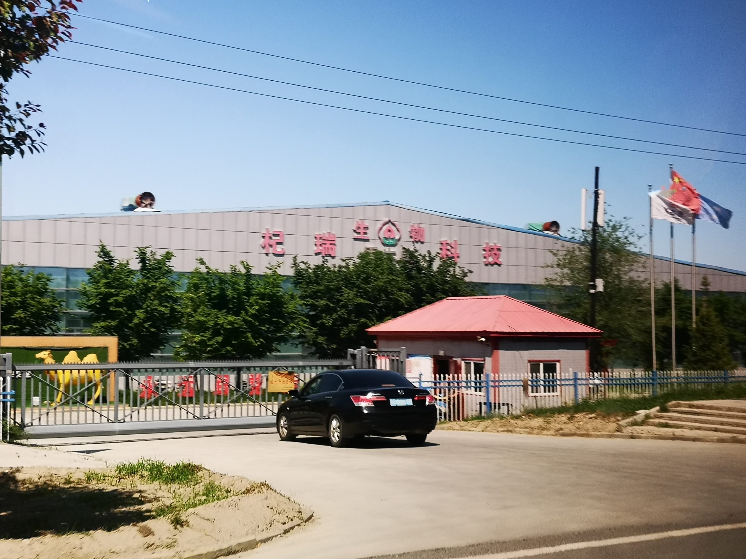Xinjiang 新疆 – Jinghe 精河